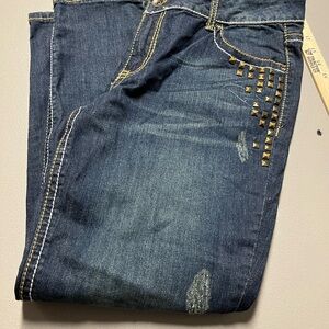 COPY - Lane Bryant 16 Skinny Woman Jeans